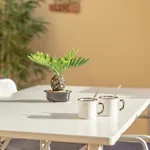 Apartament Tagoropark Relax *