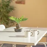 Tagoropark Relax Apartman Costa Del Silencio